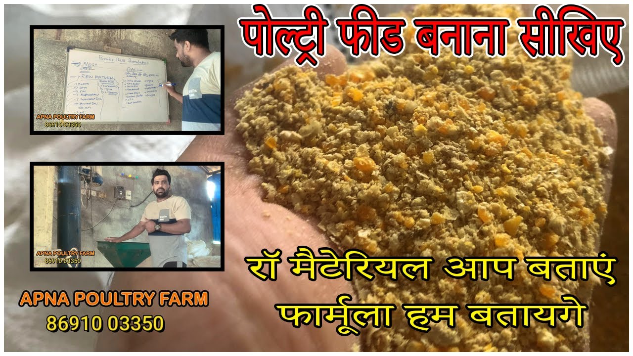 Broiler Feed Formulation | Broiler Starter Feed Making Process