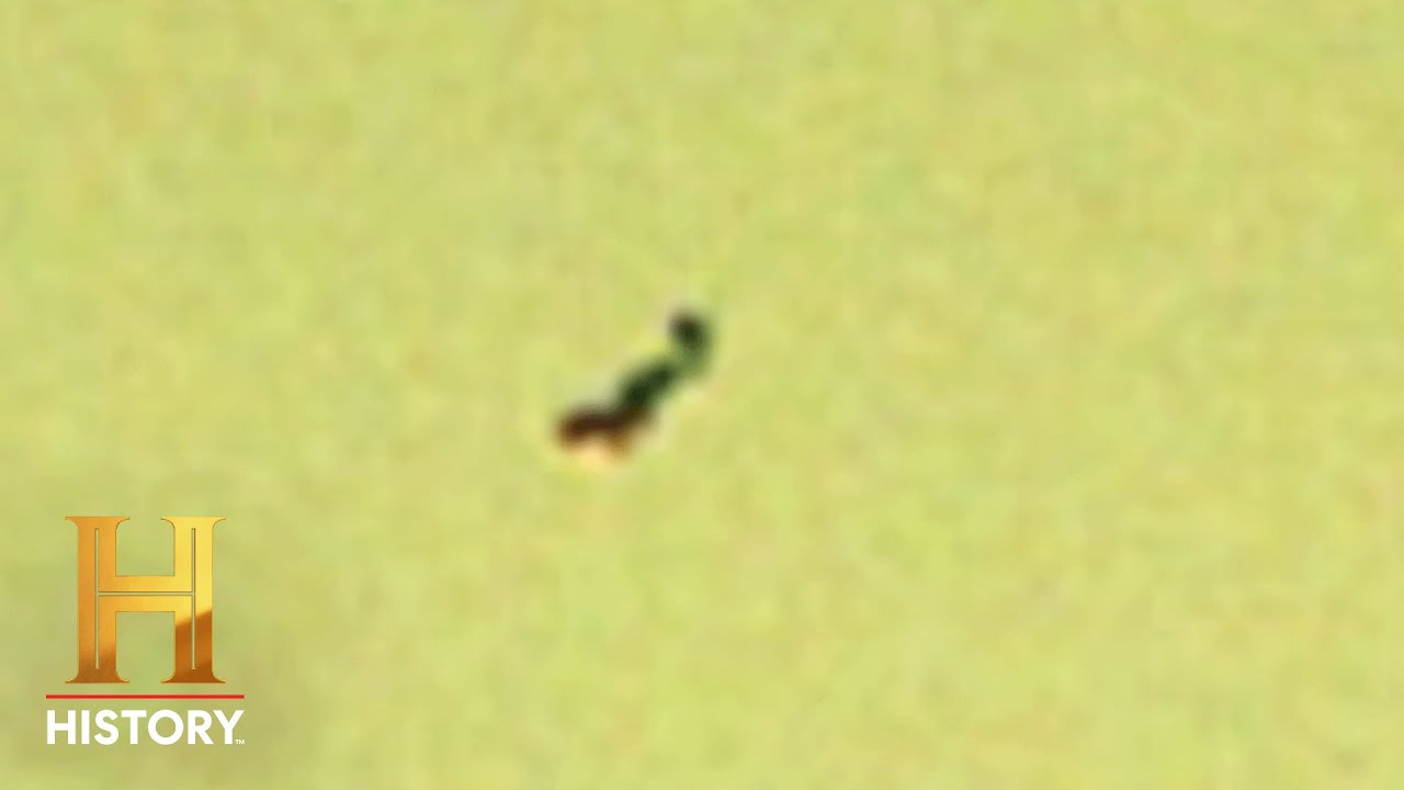 NASA ROVER SPOTS ALIENS | The Proof Is Out There | #Shorts | History