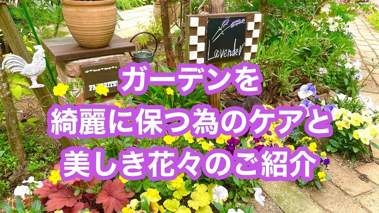 【ガーデニングを楽しもう！】麻ひもと小枝を使った乱れ花のケアからガーデン散歩をしながらのお花紹介などをまとめた動画です。#ガーデニング  #gardening #flowers