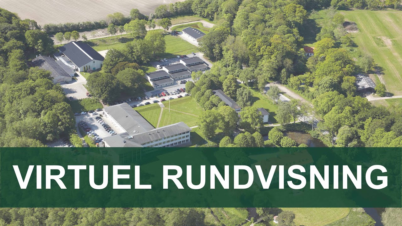 Rundvisning på Lundvæk