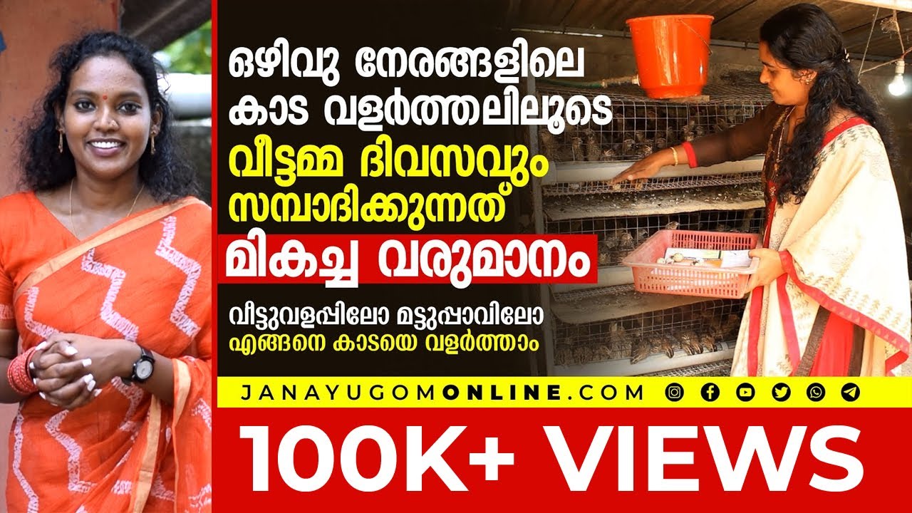 ഒഴിവു നേരങ്ങളിലെ, മട്ടുപ്പാവിലെ കാട വളർത്തലിലൂടെ വീട്ടമ്മ ദിവസവും സമ്പാദിക്കുന്നത്‌ മികച്ച വരുമാനം