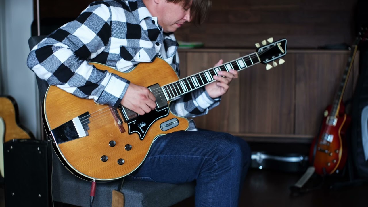Vintage Supro Coronado tones