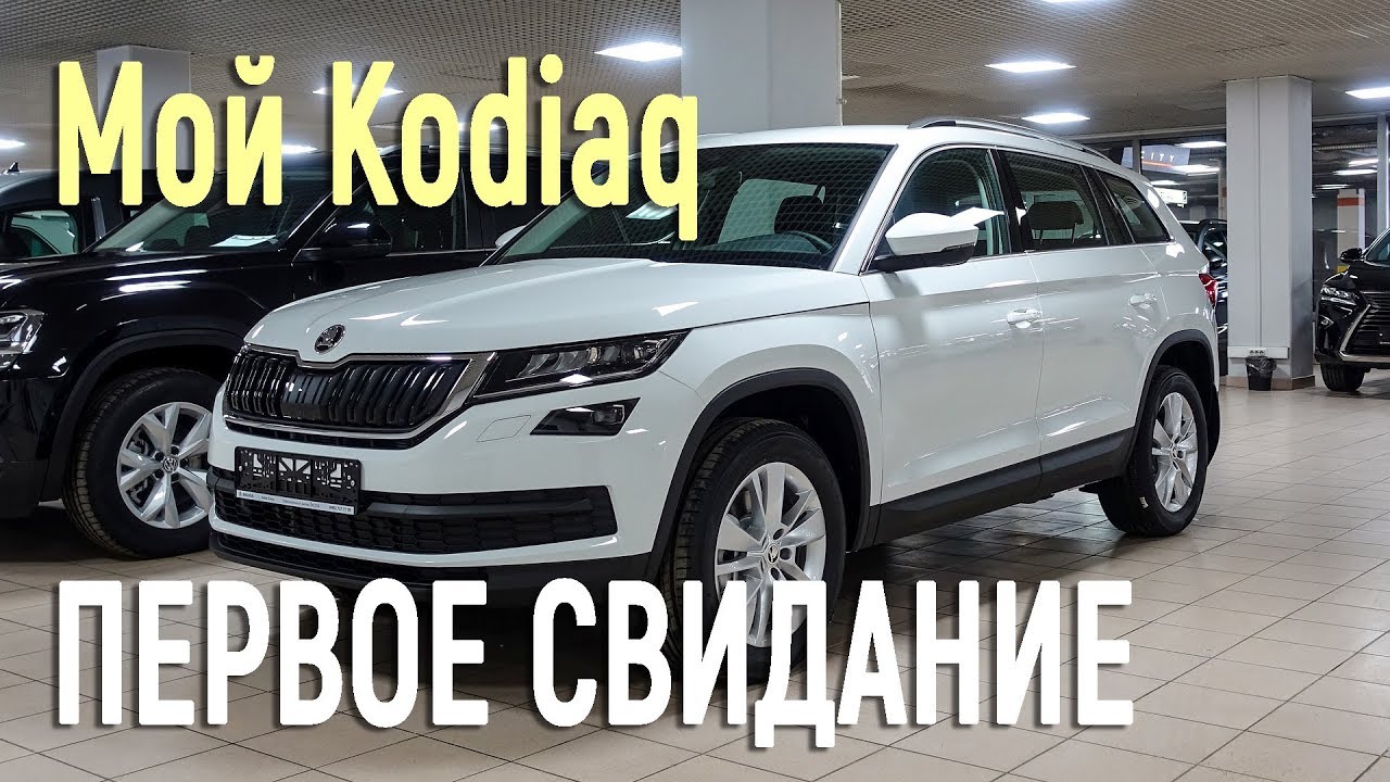 ПЕРВОЕ СВИДАНИЕ С МЕДВЕДЕМ