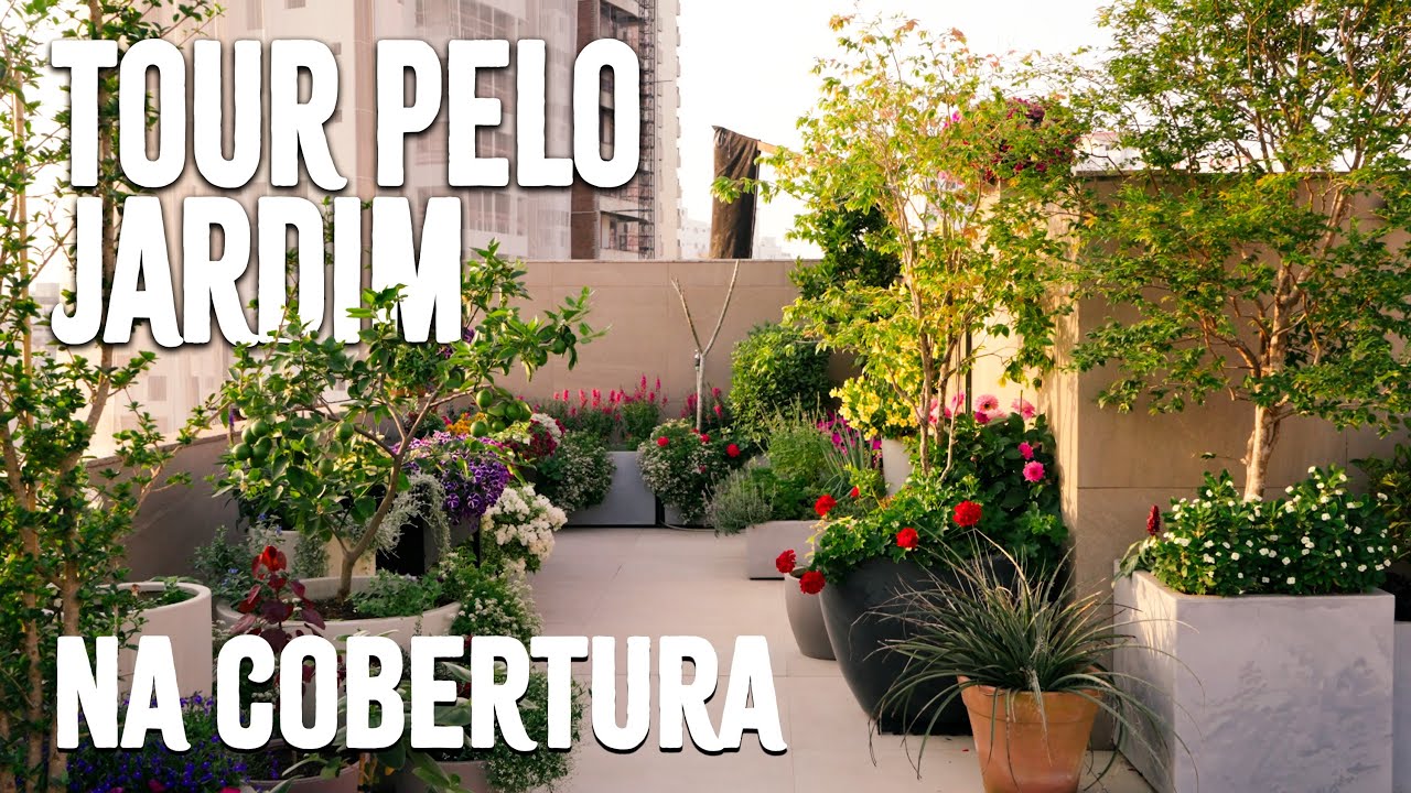 Tour pelo Jardim em Vasos na Cobertura 🍃 | Veja o que está Florescendo em Setembro!