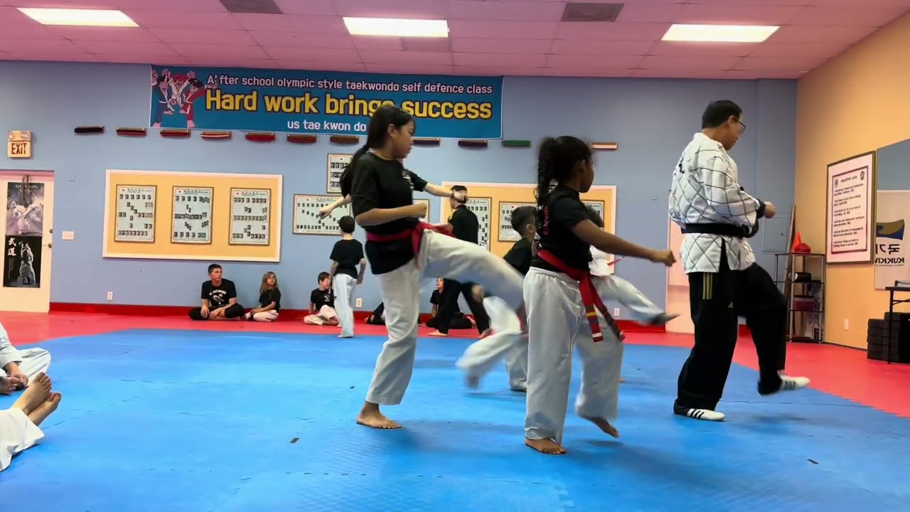 Taekwondo red belt