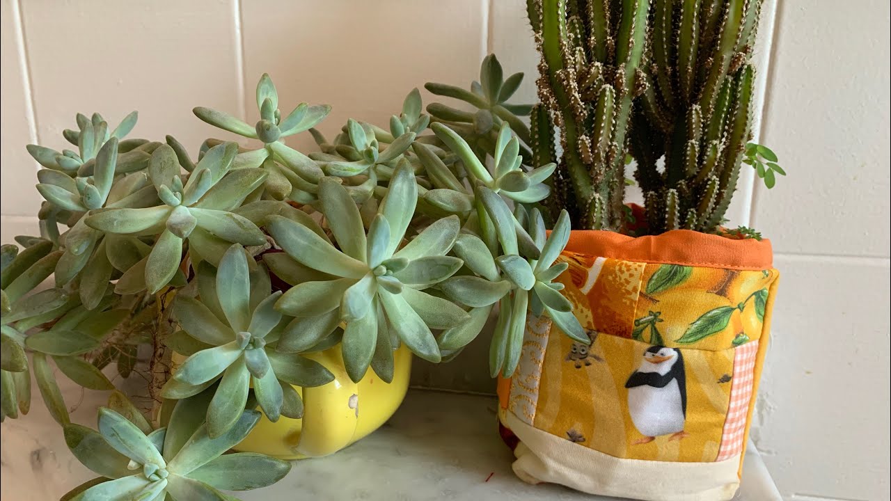 Cachepot de tecido / embelezando minhas suculentas
