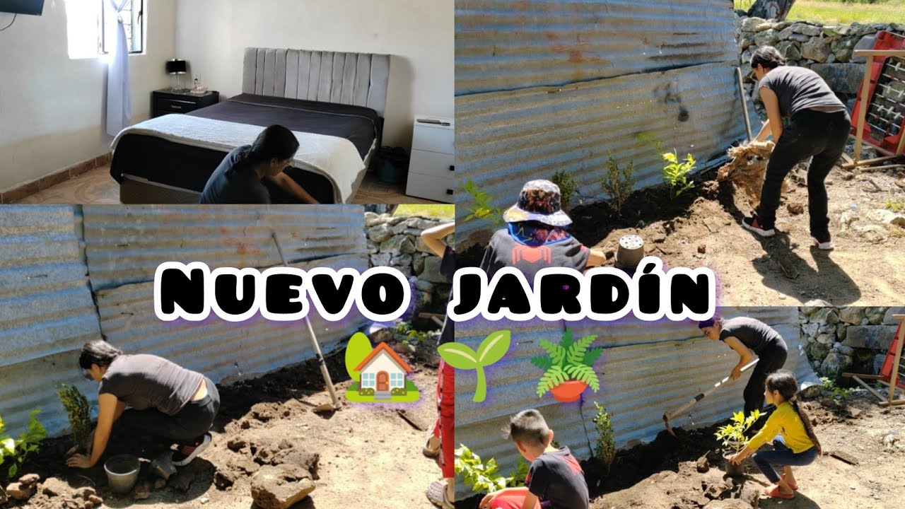 Nuevo jardín 🏡🌱🪴🌲