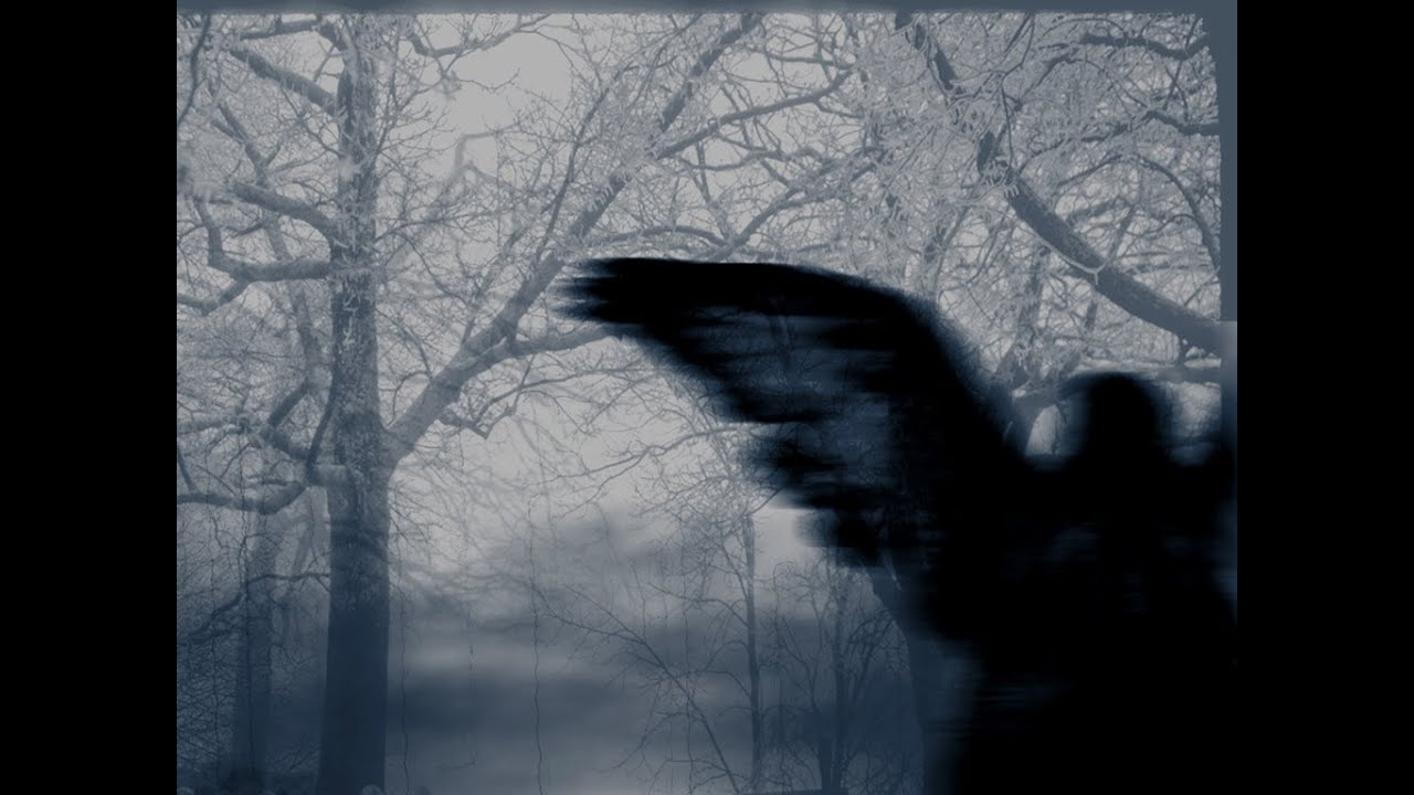 Darkness Falls Vol. 5 [Underground Techno Mix]