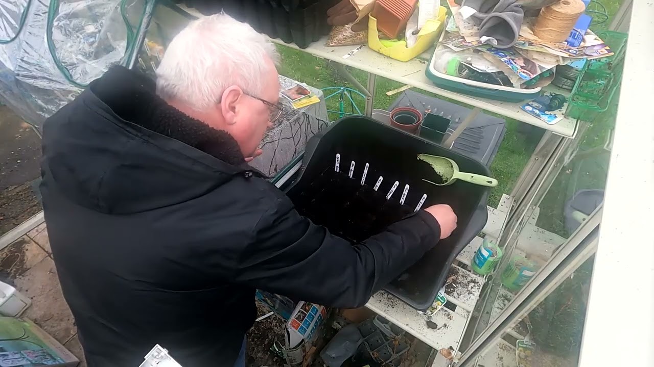 Sowing my tomato plants for 2026 plus a big mistake
