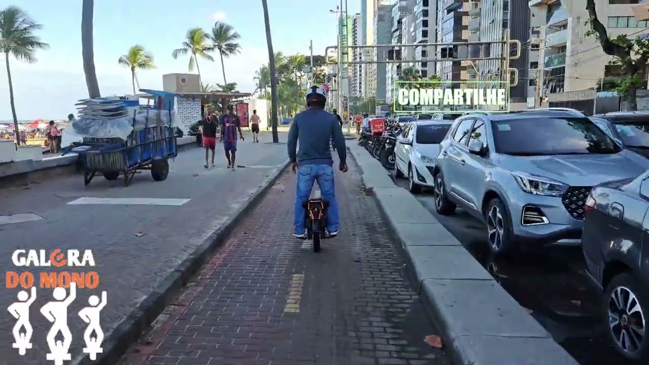 Monoterapia