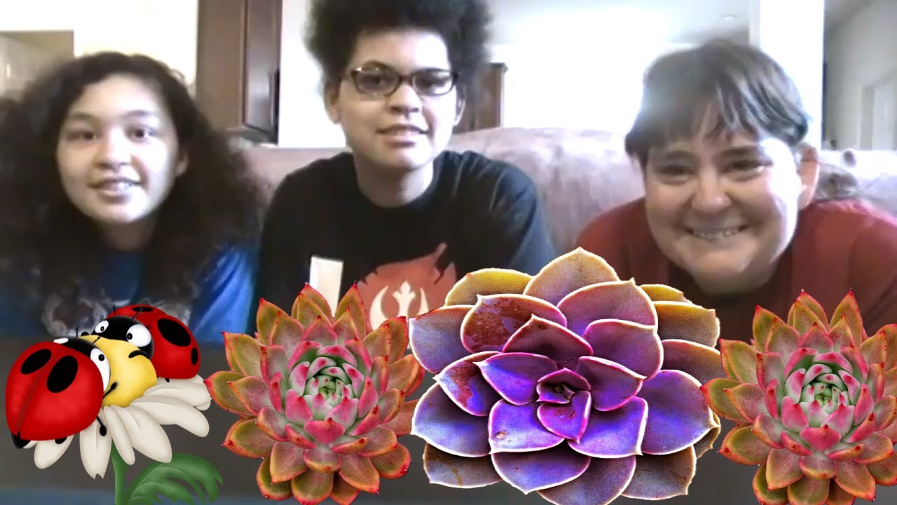 Unboxing Succulent Lovers August 2017!
