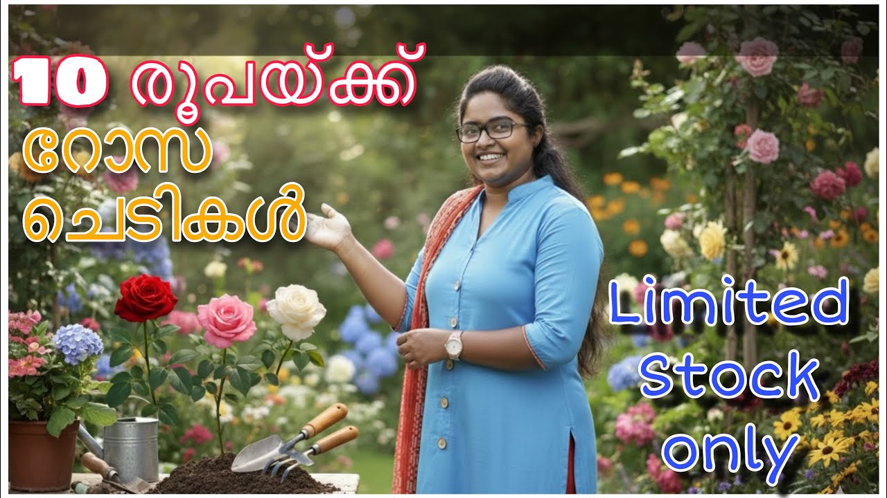 10 രൂപയ്ക്കും റോസ് വാങ്ങം 