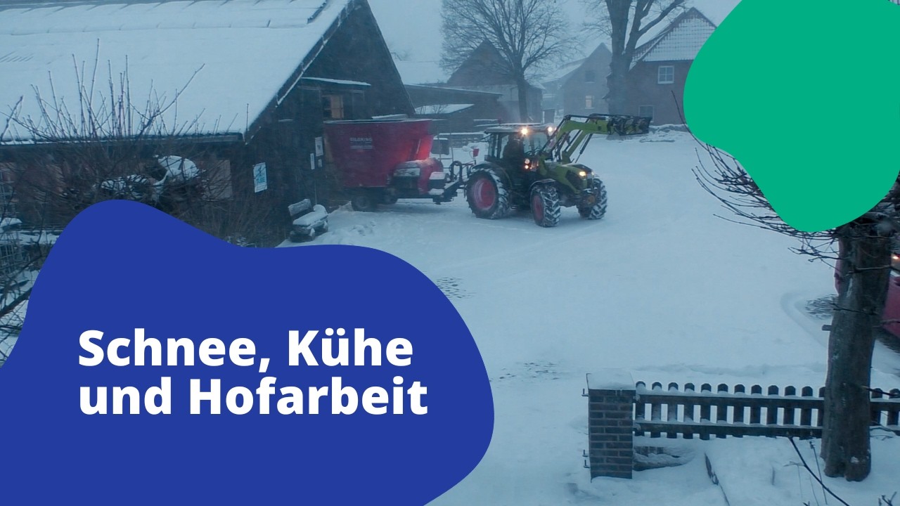 Schnee, Kühe und Hofarbeit