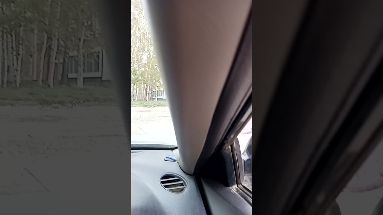 Это брат Алонка - прошу не ржать в комментариях - им и так хреново...))