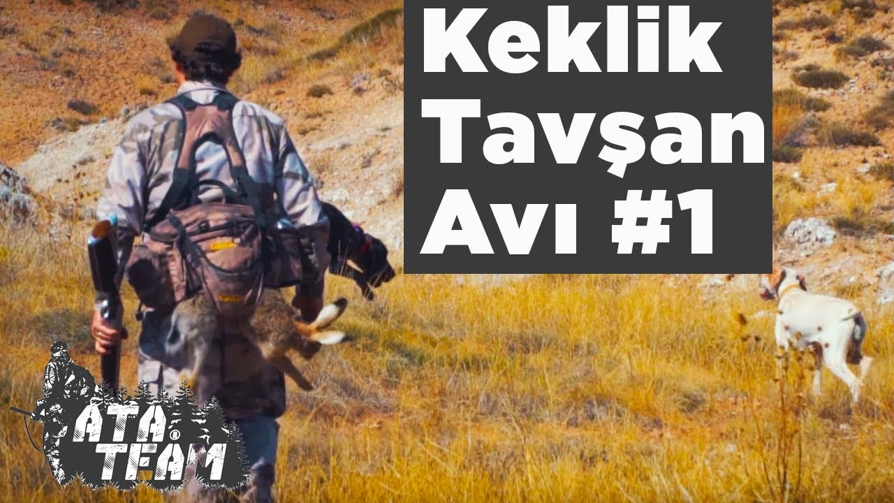 Keklik Tavşan Avı Ata Team 1. B&ouml;l&uuml;m Yaban Tv Partridge Hunting