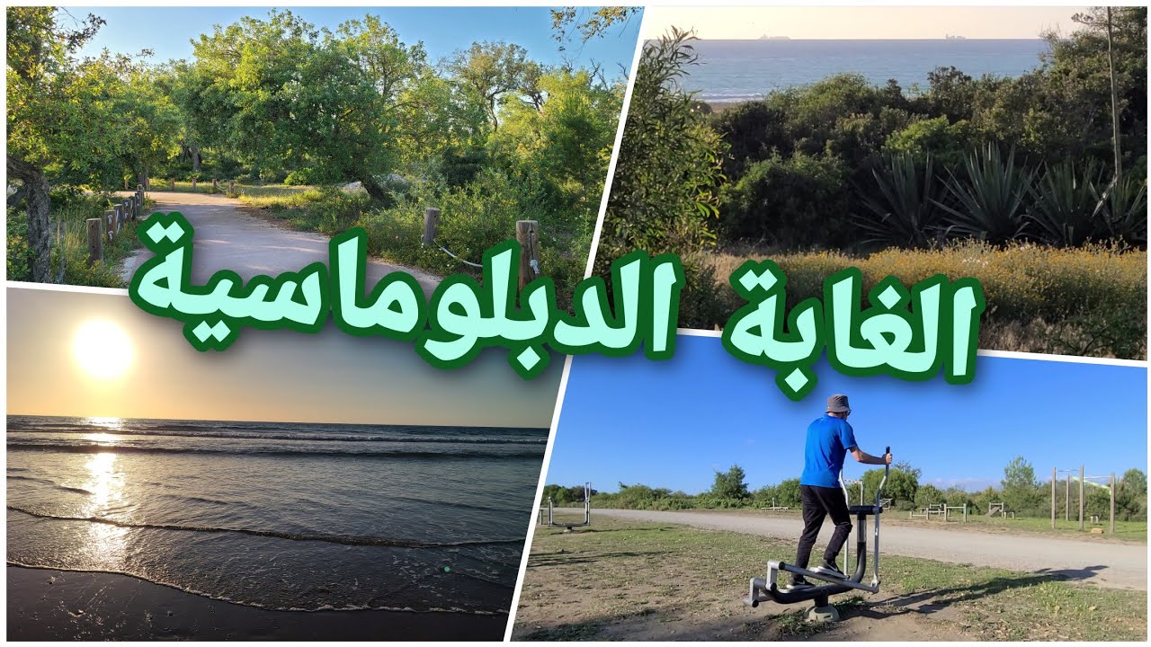 الغابة الدبلوماسية ،(غابة ميريكان) جنوب طنجة، الجمال والهدوء والنشاط 💚 Diplomatic Forest, Tangier
