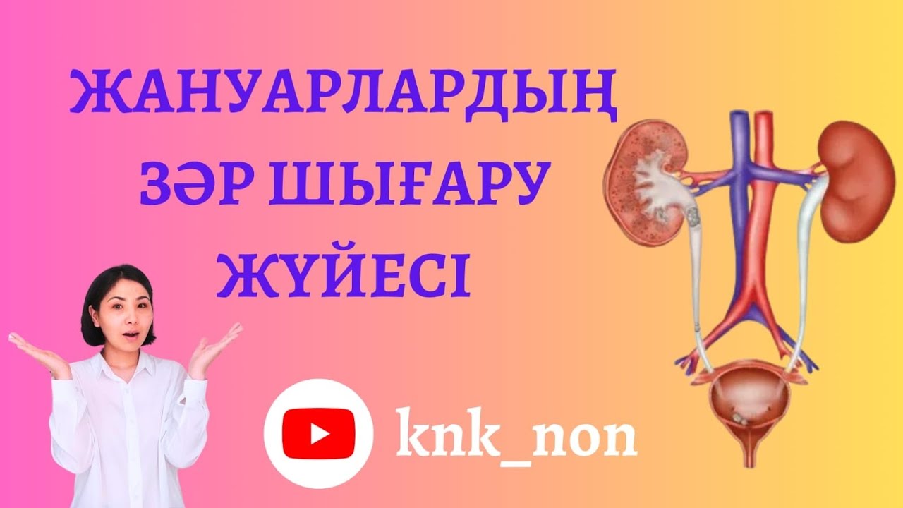 ҰБТ да кемінде 5 балл беретін сабақ. Жануарлардың зәр шығару жүйесі. Выделительная система животных