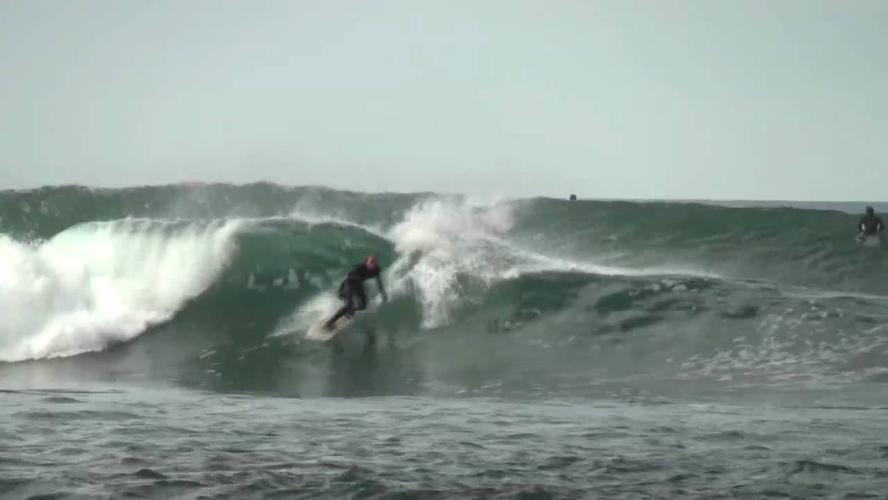 Surf Alcyons / mars 2011