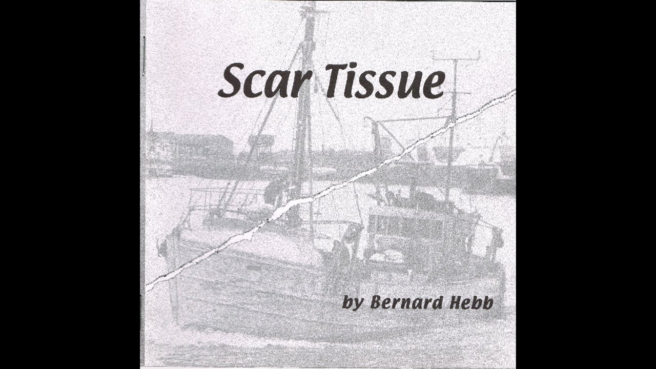 Bernard Hebb - Scar Tissue (CD, 2000)