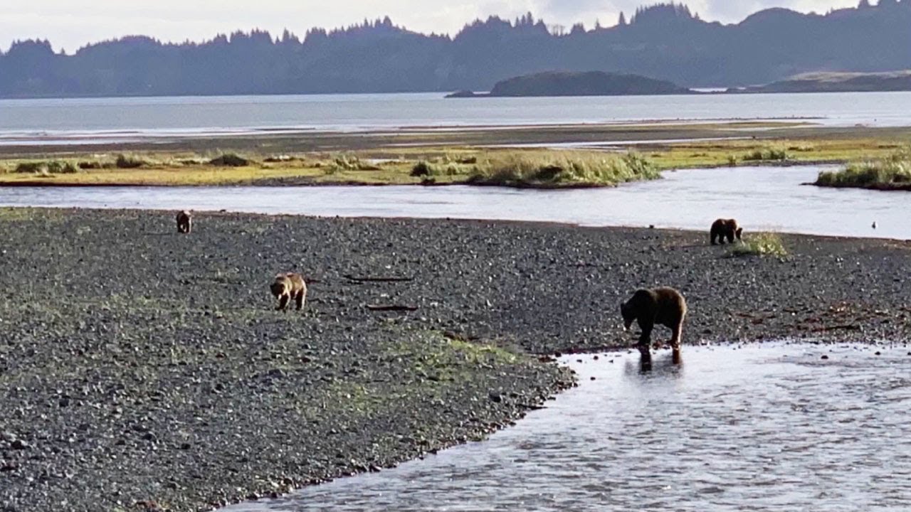 Notable Floatables - Rivers of Alaska