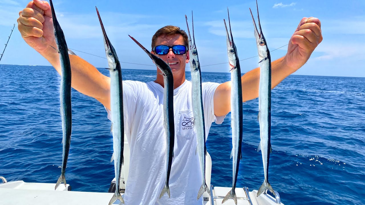 Needlefish- Catch Clean Cook (Shocking Results!)
