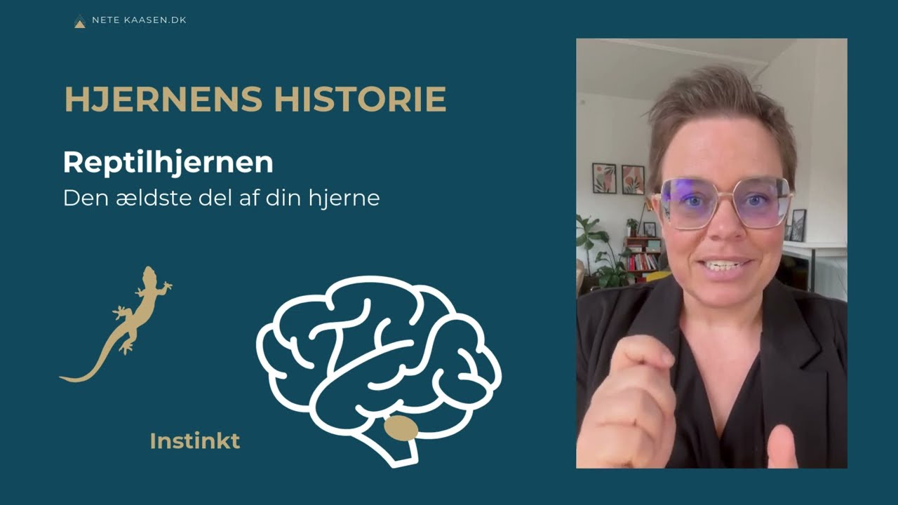 Video 2: Hjernens naturlige udvikling