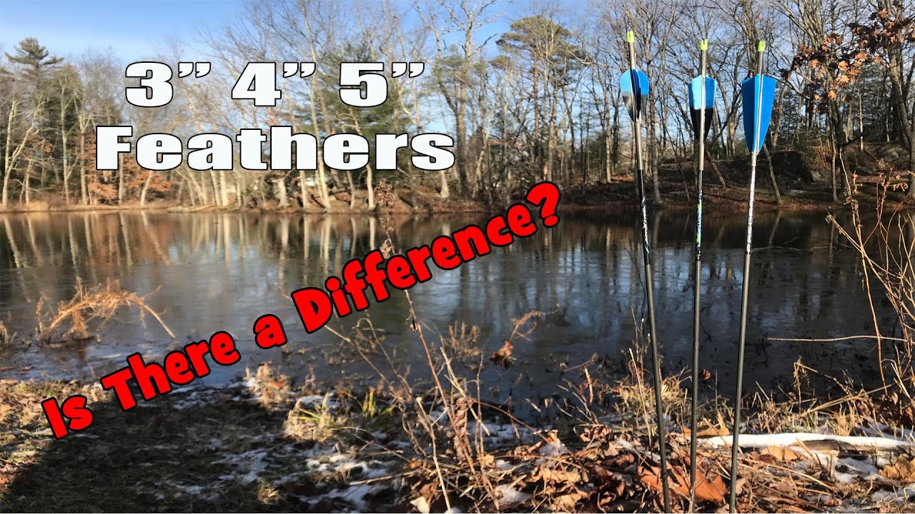 Trad Archery Feather Comparison 3 v 4 v 5