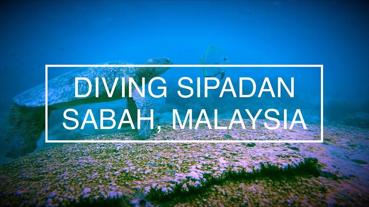 Diving Sipadan - Sabah, Malaysia