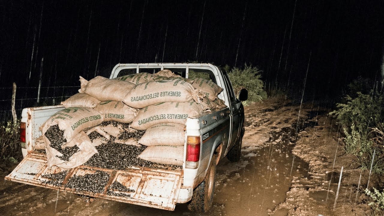 FIZ UM FRETE NO INTERIOR E QUASE NÃO VOLTEI: O BICHO QUE SE ESTICOU E CRUZOU A ESTRADA COMO UM HOMEM