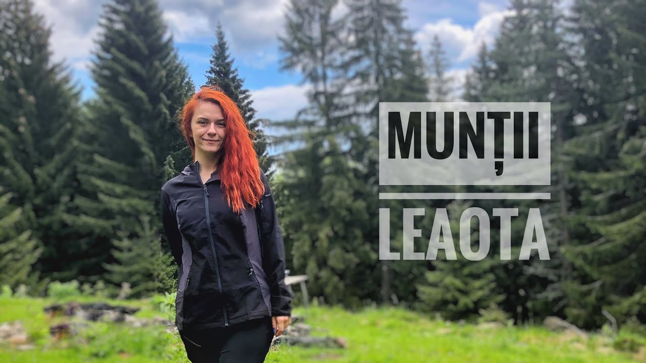 Leaota | Atacați de câinii de la stână