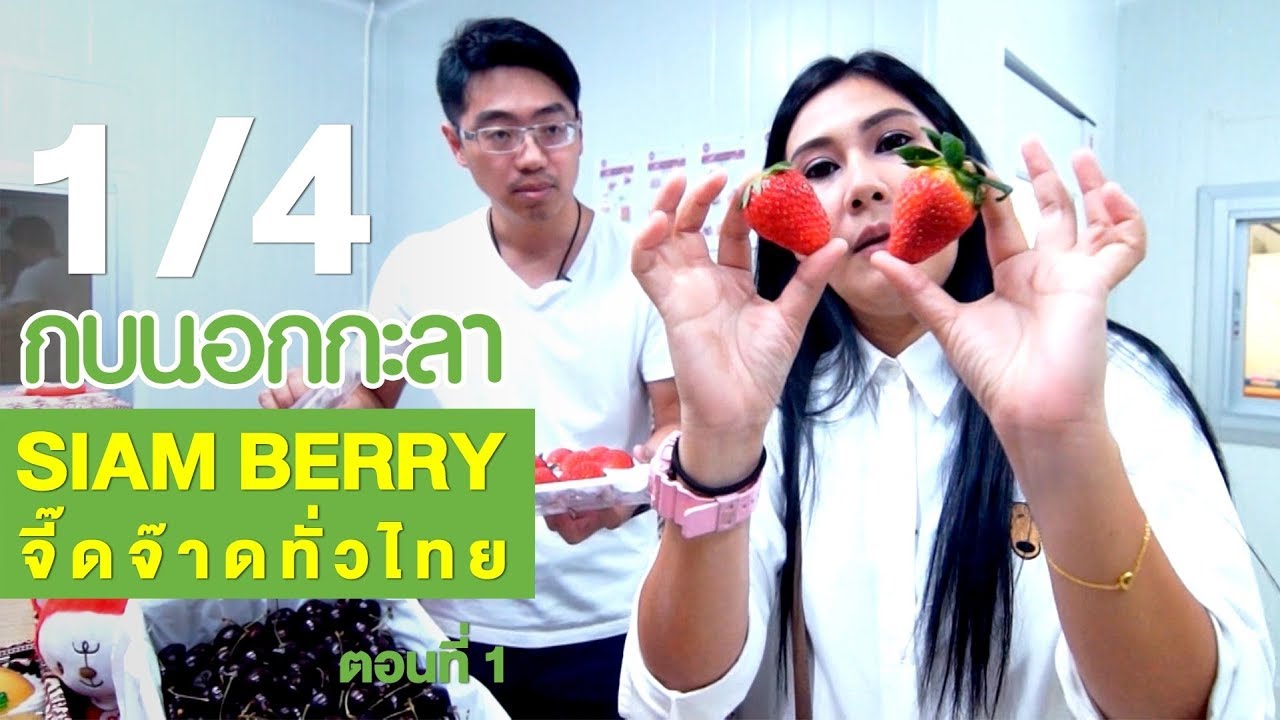กบนอกกะลา : SIAM BERRY จี๊ดจ๊าดทั่วไทย (1) ช่วงที่ 1/4 (15 ก.พ.61)