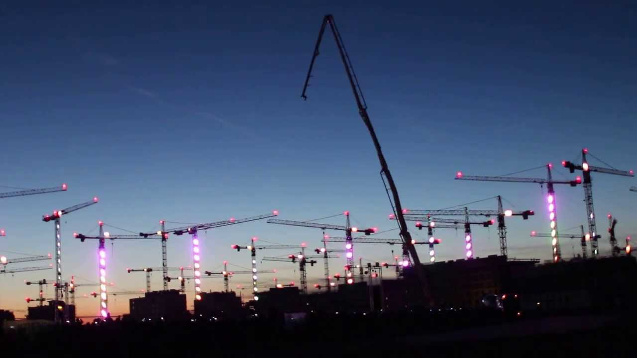 Cranes dancing - Crane lake - Seestadt Aspern- Vienna