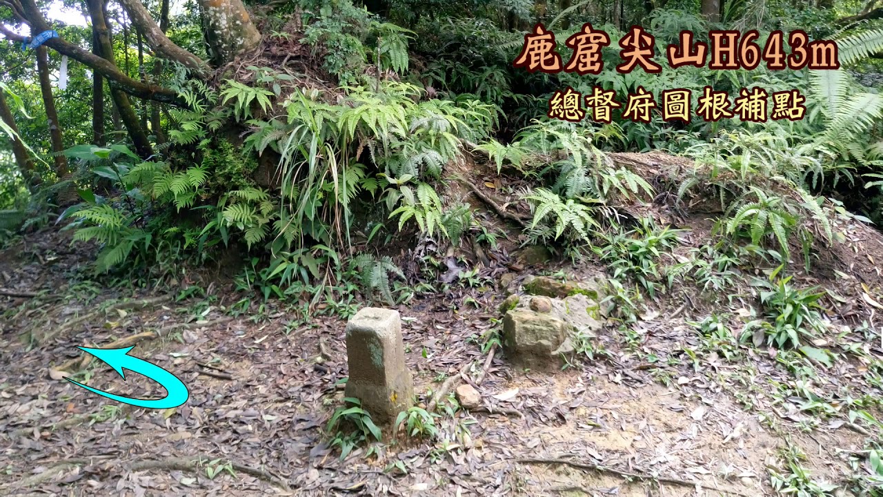 鹿窟尖山~白雞山~雞罩山 三峽白雞三山O行2019.05.11