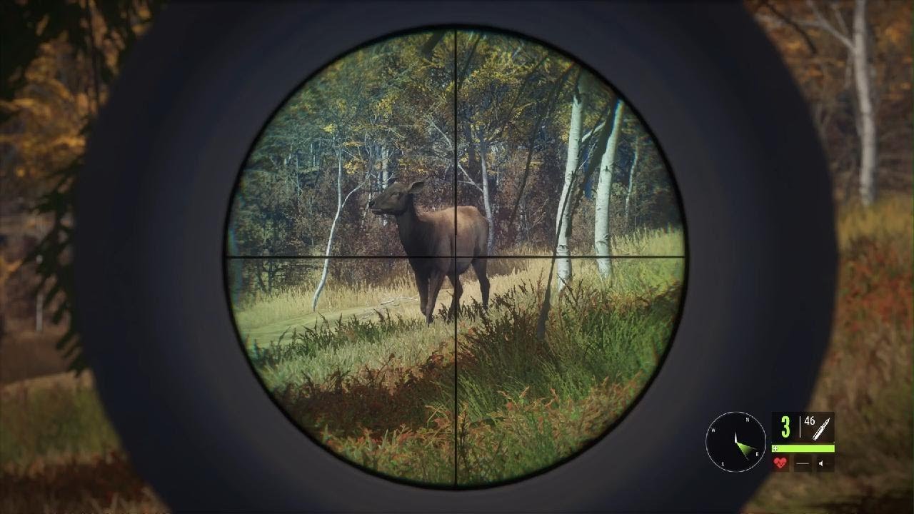 Wasting time in theHunter: Call of the Wild - Part 4