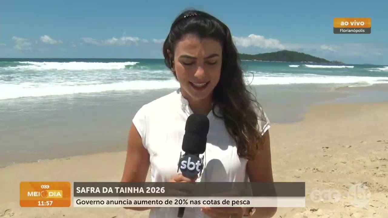 Governo amplia em 20% as cotas da safra da tainha | Cotidiano | SCC Meio-Dia