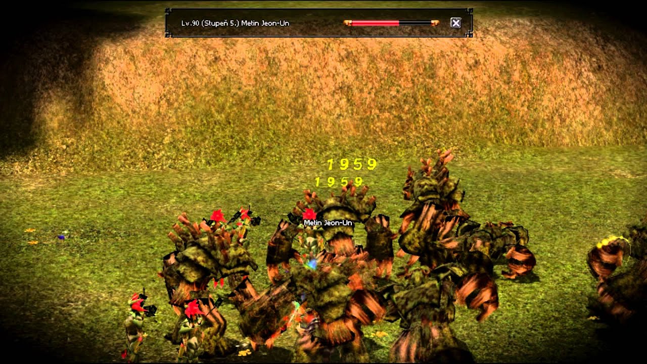 Metin 2 Siona Mattaxon vs Les