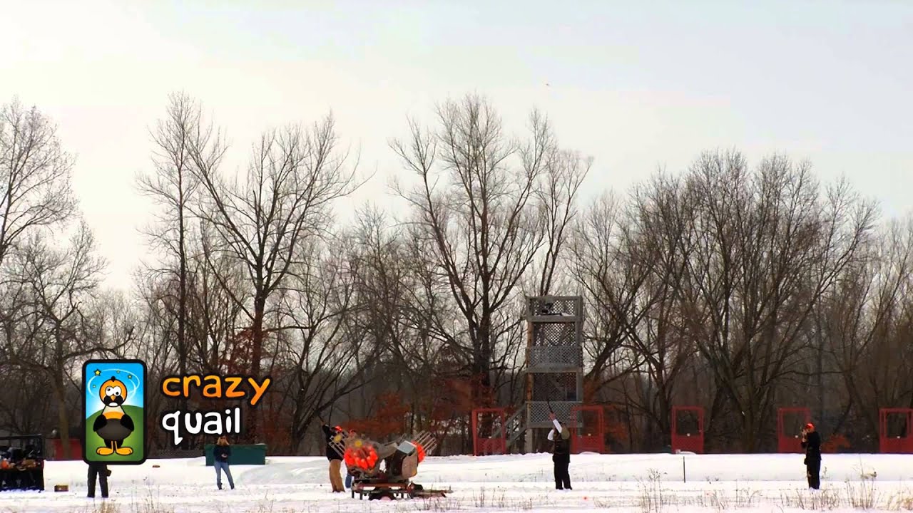 Crazy Quail - The Future of Practice Shooting - Rotates 360 Degrees!