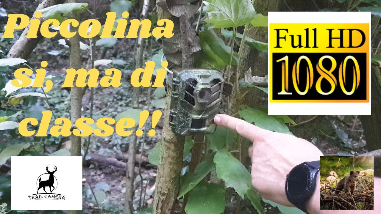 Фотоловушка Coolifepro SV-TCQ Маленькая, но стильная. Полный обзор.