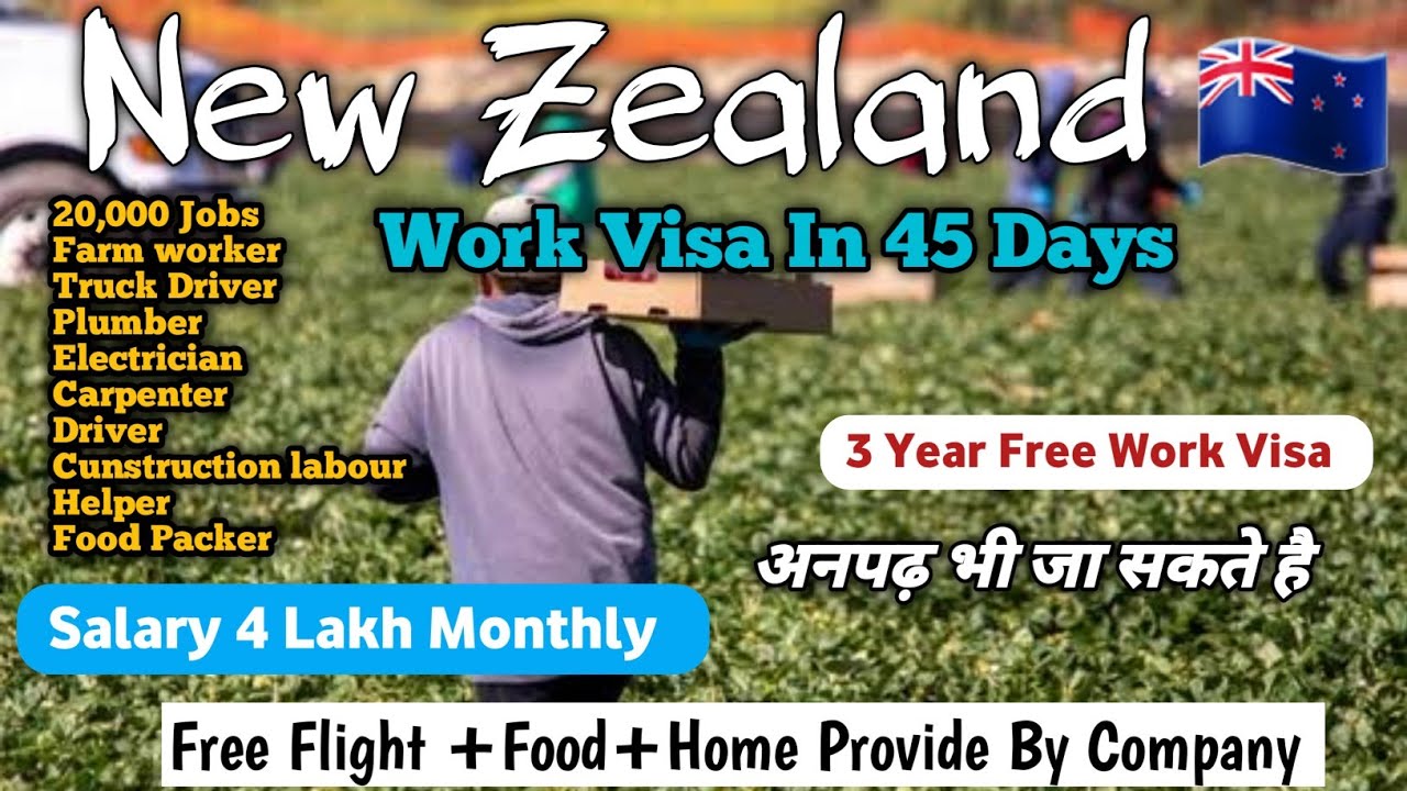 Farm Worker, Driver, Plumber, Carpenter, Needed Urgently In New Zealand 🇳🇿!Free Food+Home