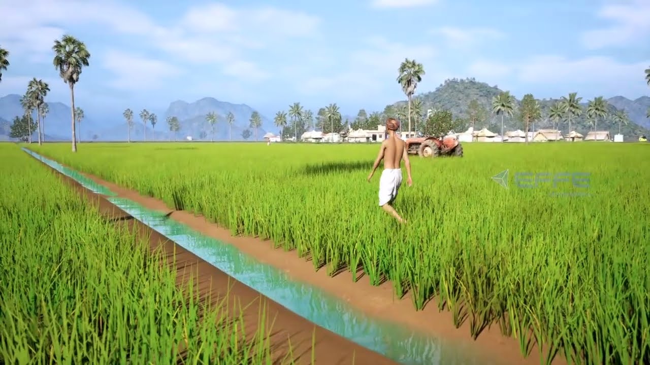 How Irrigation Tanks Work | Traditional Water Harvesting System Explained in 3D Animation | EFFE