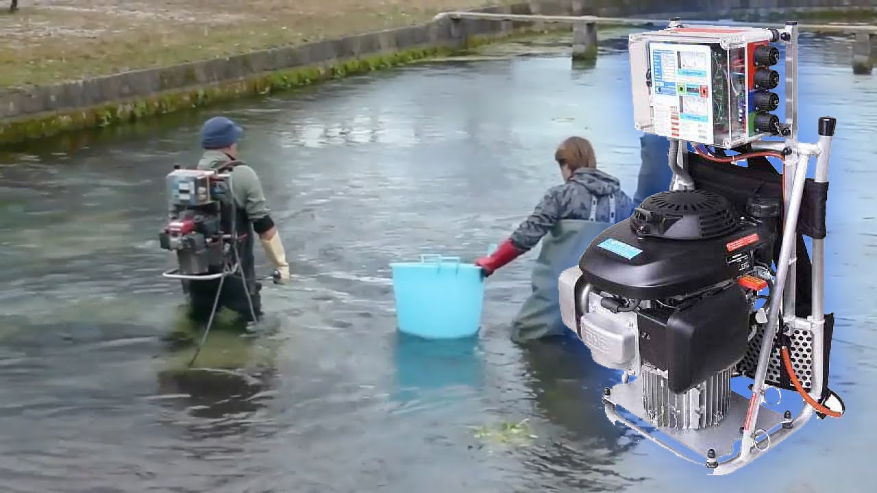 Pesca elettrica con elettrostorditore Scubla a zainetto