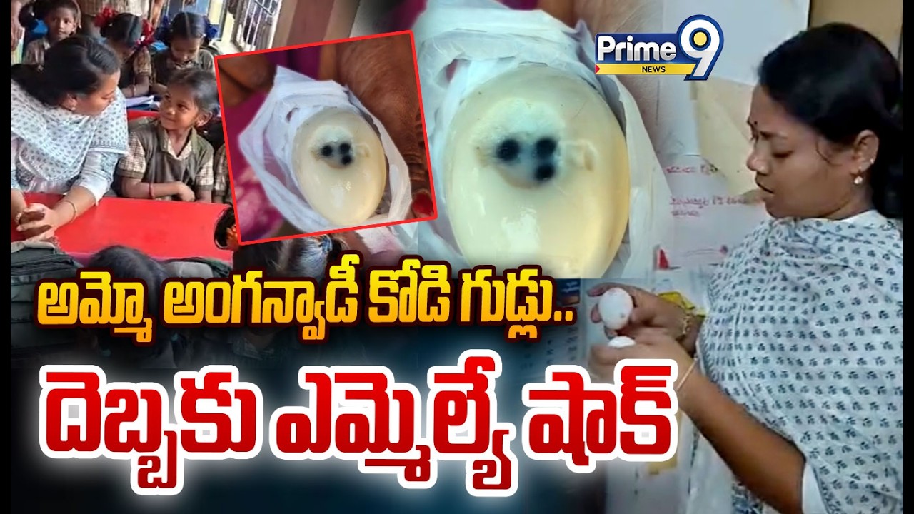 Dangerous Anganwadi Eggs MLA Shock 😯: అమ్మో అంగన్వాడీ కోడి గుడ్లు..దెబ్బకు ఎమ్మెల్యే షాక్