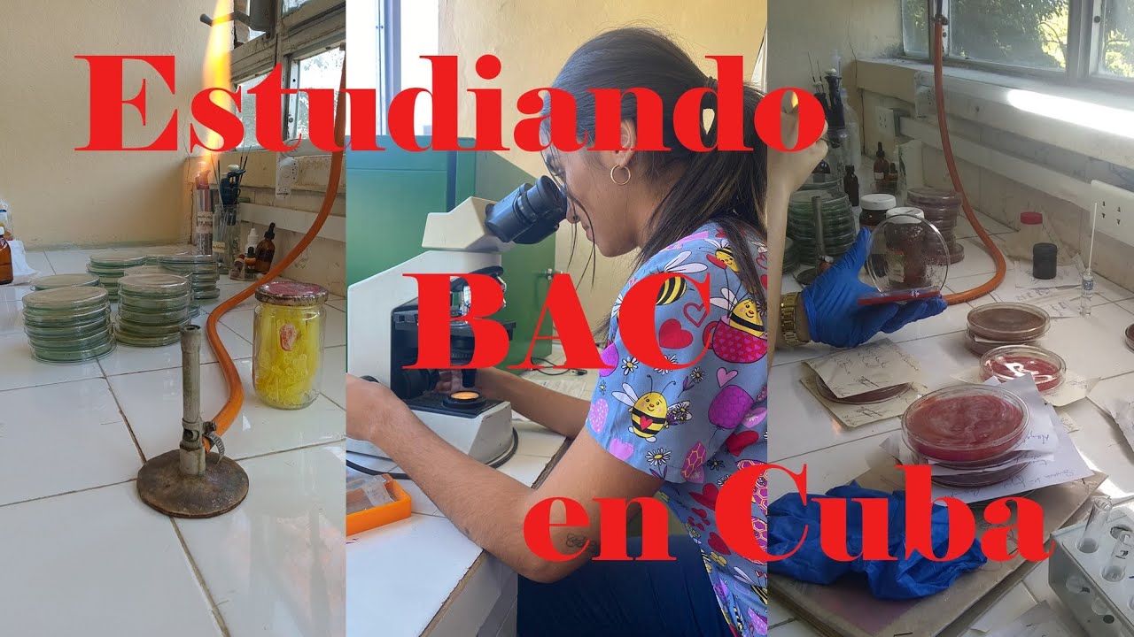 Estudiando una carrera universitaria 