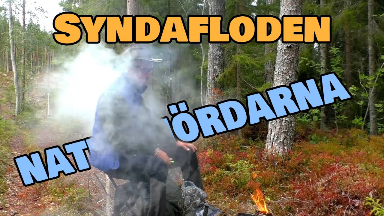 Översvämning  I Hälsinglands Skogarna