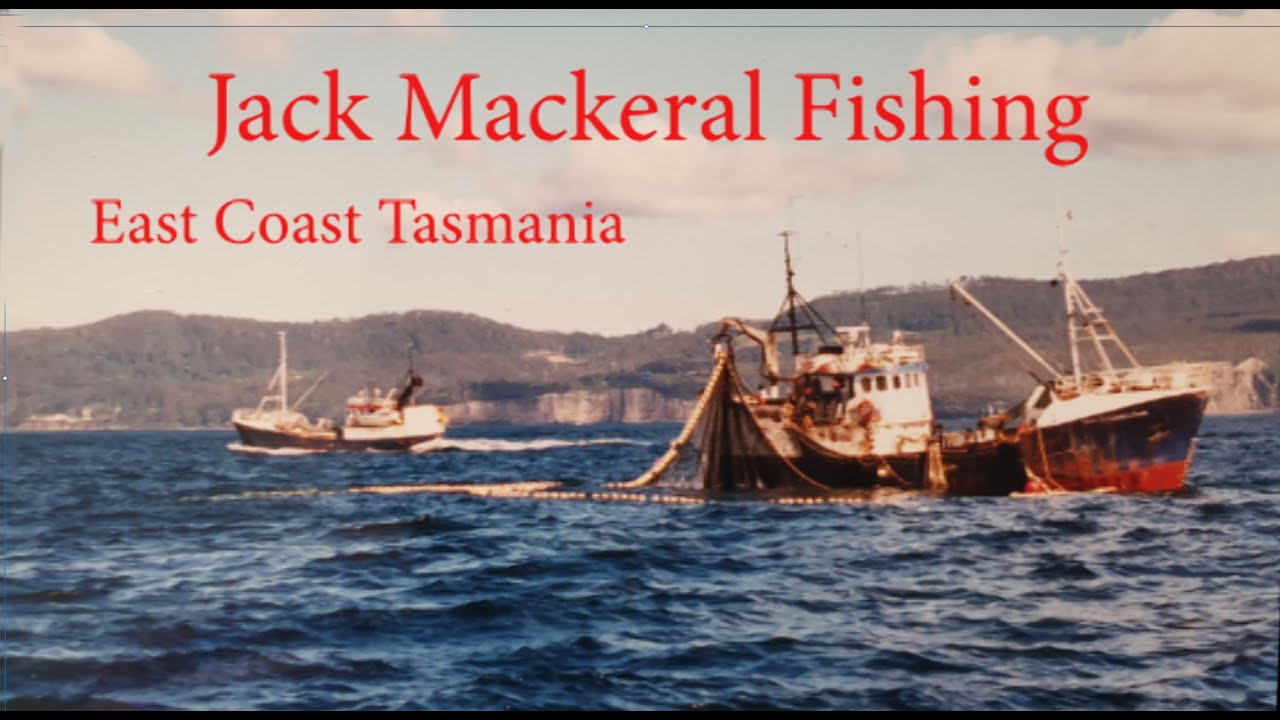 Purse-Seining Jack Mackeral - East Coast of Tasmania. Another Boom and Bust Fishery.