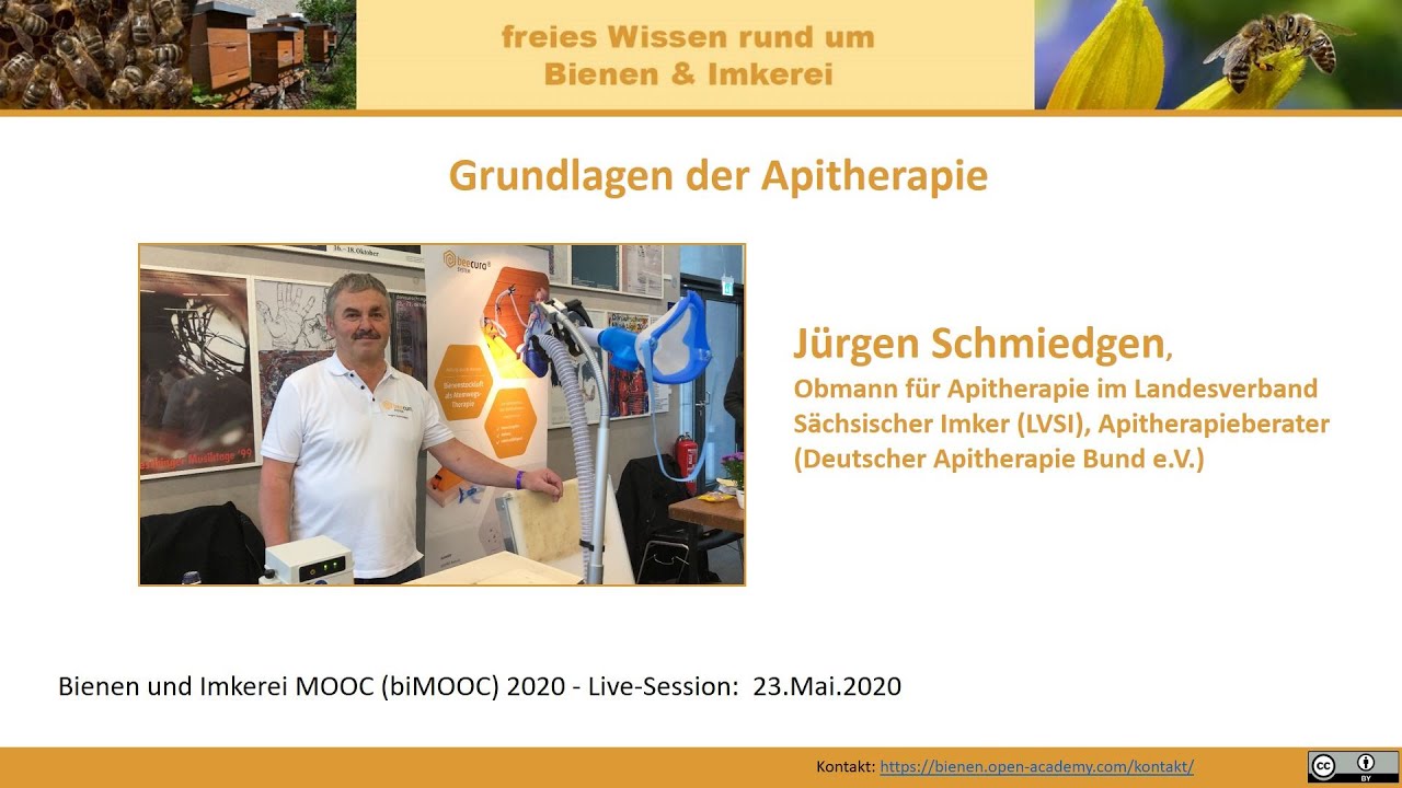 Grundlagen der Apitherapie