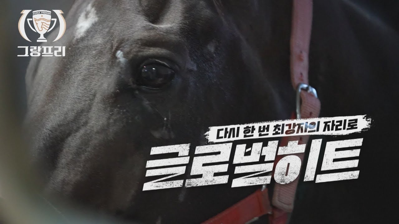 [2025 그랑프리] 글로벌히트, 다시 한 번 최강자의 자리로!