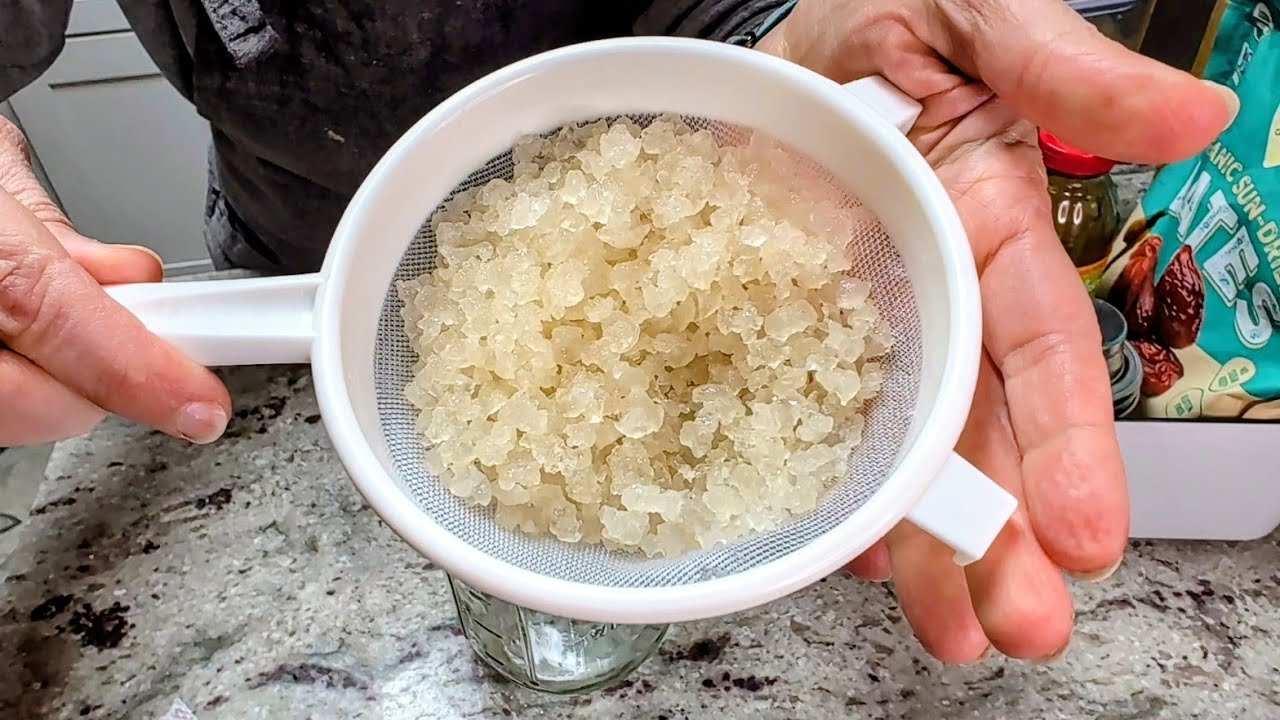 🥛My new Probiotic & Fermented food obsessions