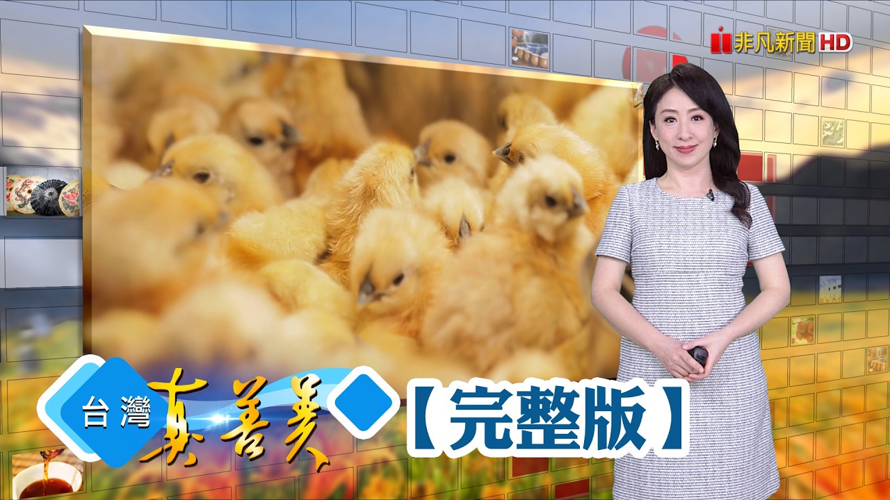市場批發商變地瓜大王 全年供貨創新商機/一條龍經營土雞大王 七年純化育種桂丁雞/宜蘭媳創鴨賞掌中粿 傳承四代日包四千顆/兄弟檔拚泡菜事業 最高日銷破千罐【台灣真善美】2026.03.15✦全集✦