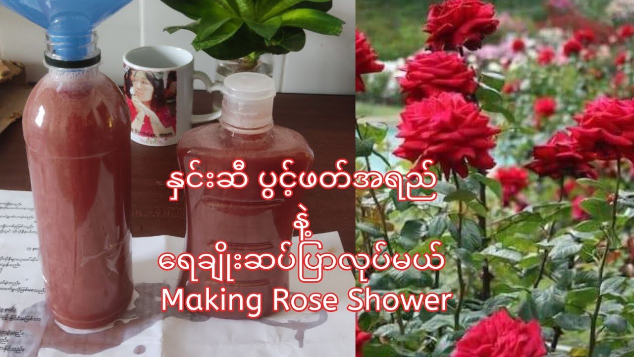 နှင်းဆီပွင့်ဖတ်အရည် နဲ့  ​ရေချိုးဆပ်ပြာ​လေးလုပ်မယ် How to make  Shower with Rose water (75% organic)